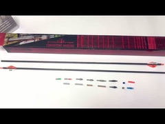 Setas inteiras do carbono