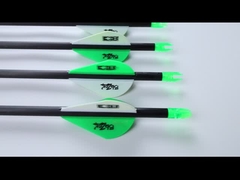 .204 flechas de caça de assassinos