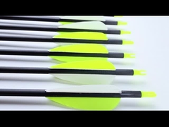 tamanho padrão 6.2mm caça e alvo flechas série pro explosão