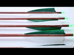 Trata-se de grãos de madeira flechas